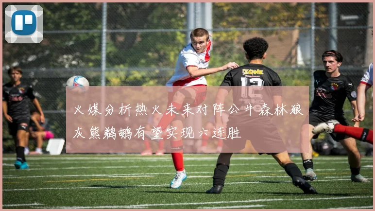 火媒分析热火未来对阵公牛森林狼灰熊鹈鹕有望实现六连胜
